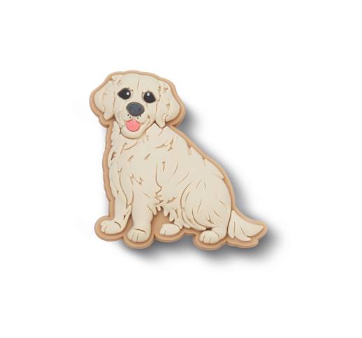 Golden Retriever Puppy