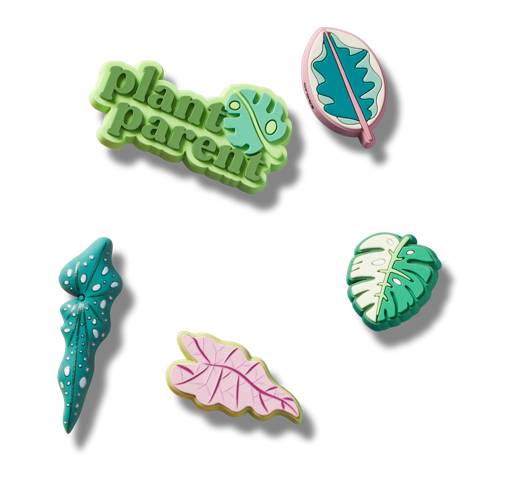 Indoor Plant Besties 5 Pack