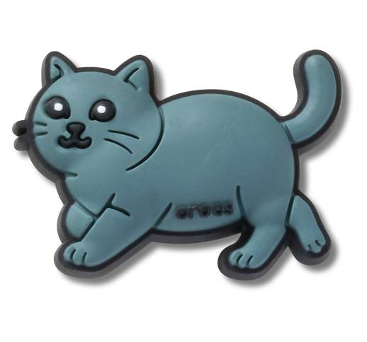 British Shorthair Cat