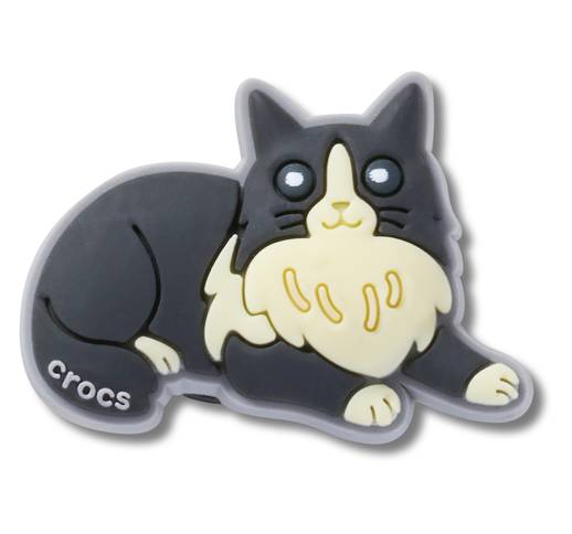 Black Cat With Boots