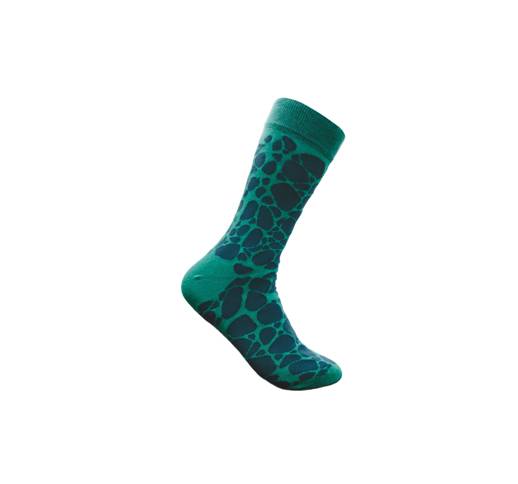 Socks Print